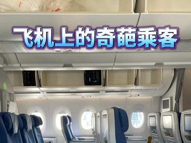 程途票务代理